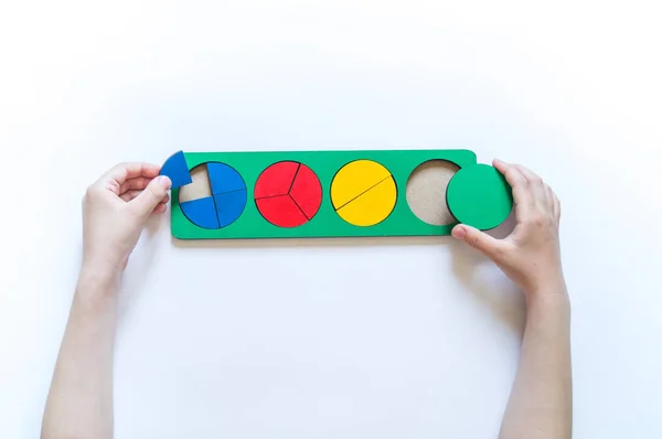 Montessori material. Children's hands. Whole and part. Fractions. The study of mathematics — Stock Photo, Image