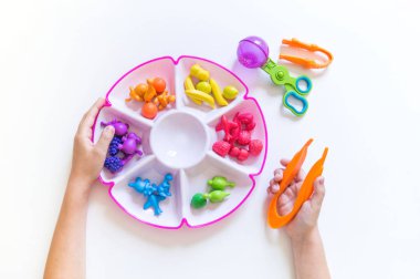 Montessori malzemesi. Çocukların elleri. Matematik ve biyoloji çalışması.