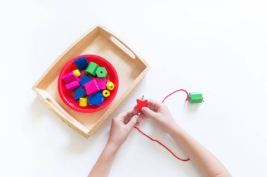 Montessori malzemesi. Çocukların elleri. Matematik ve biyoloji çalışması.