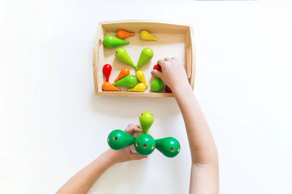 Material Montessori. Las manos de los niños. El estudio de las matemáticas y la biología . — Foto de Stock