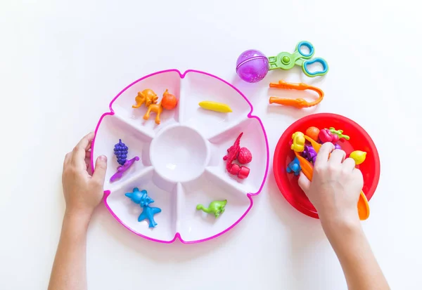 Montessori malzemesi. Çocukların elleri. Matematik ve biyoloji çalışması.