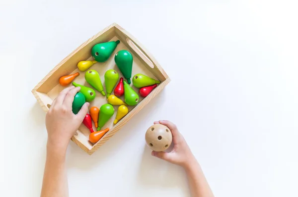 Montessori-Material. Kinderhände. das Studium der Mathematik und Biologie. — Stockfoto