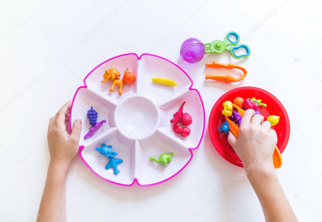 Montessori material. Children's hands. The study of mathematics and biology.