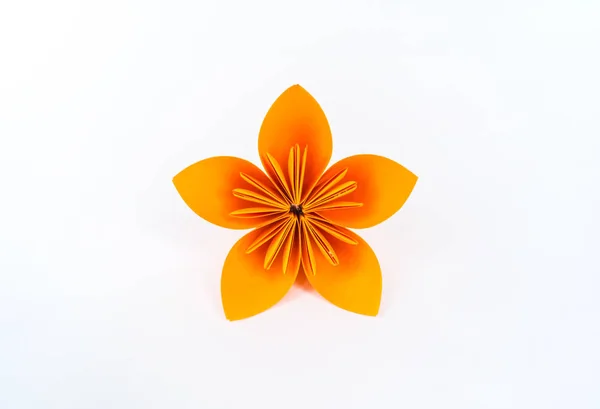 Origami kusudama Fleur orange se dresse en rangée sur un fond blanc. Couleur arc-en-ciel . — Photo