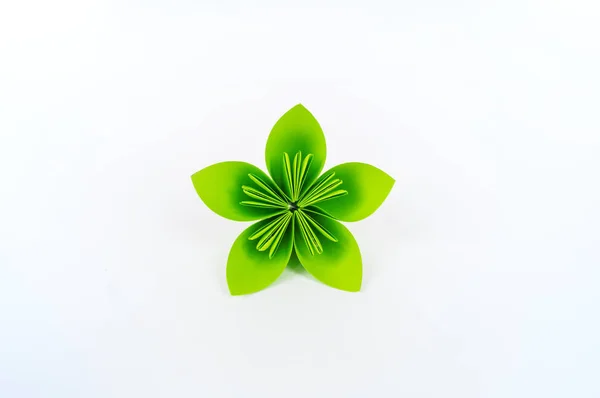 Origami kusudama yeşil çiçek beyaz bir arka plan karşı bir satır duruyor. Gökkuşağı rengi. — Stok fotoğraf