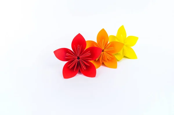 Origami flor kusudama se encuentra en una fila sobre un fondo blanco. Color del arco iris . — Foto de Stock