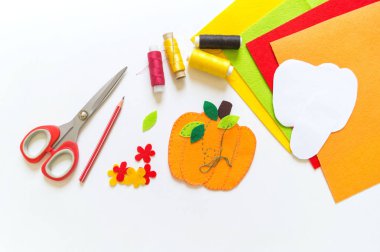 Atölye kabak el yapımı keçe. Nakış ve diy için malzemeler.