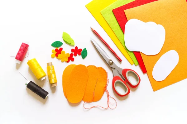 Workshop pumpkin handmade felt. Materials for embroidery and diy. — Stock Photo, Image