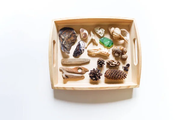 Doğal malzeme montessori eğitim. Çalışma için nesnelerle sepet tepsisi