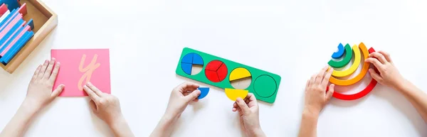Montessori malzemesi. Çocukların elleri. Matematik ve biyoloji çalışması. Benner