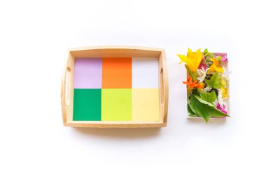 Montessori materyali düz bir doğa. Çocuklar çiçekleri renkli gökkuşağına göre ayırırlar. Beyaz arkaplanda tahta tepsi.