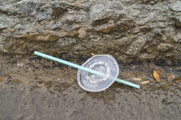 Plastik Suhlt Sich Der Natur Einwegstroh Und Kaffeedeckel Erderwärmung Müll — Stockfoto