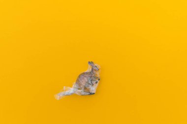 Kanguru plastik bir torbaya dolanmış. Plastik hayvan konsepti. Sarı arka plan. Çevre kirliliği sorunu.