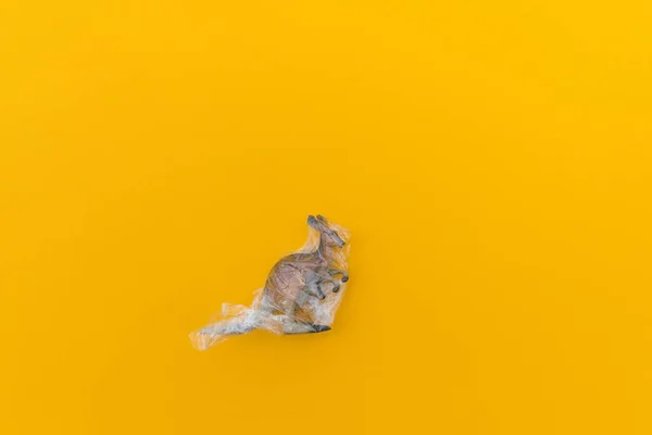 Kangaroo is entangled in a plastic bag. Plastic animal concept. Yellow background. Environmental pollution problem.