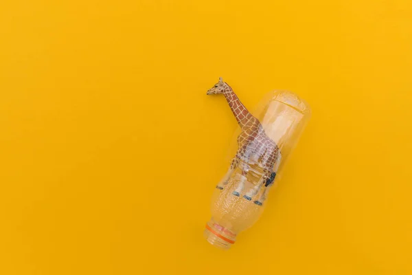 Jirafa Está Enredada Una Bolsa Plástico Concepto Plástico Animal Fondo — Foto de Stock