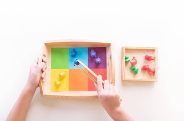 Montessori maddesi rengine göre sıralanıyor. Evde eğitim var. Çocuklu ders. Beyaz arkaplan.