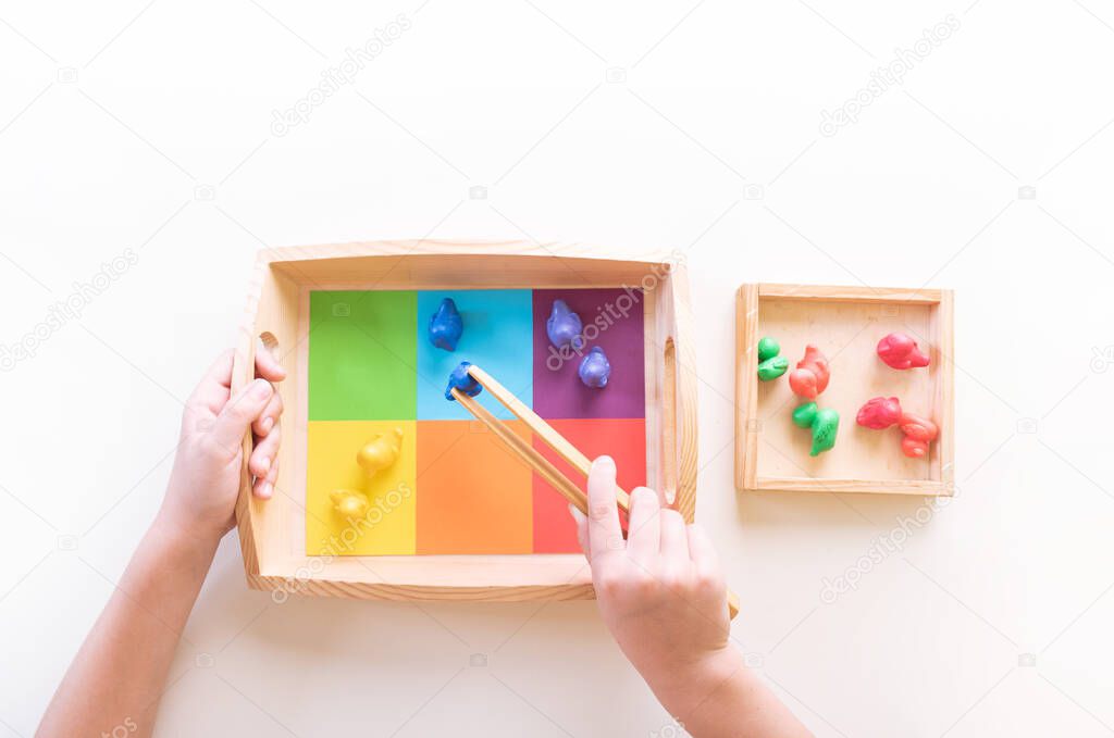 Montessori material sorting by color. Education at home. Lesson with children. White background.