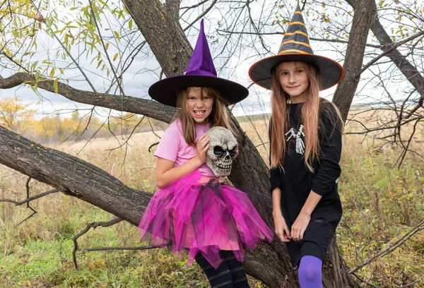 Flickvänner Halloweendräkter Leker Öppna Ytor Mystisk Miljö Barn Klädd Som — Stockfoto