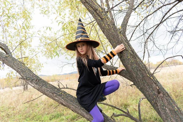 魔女の衣装を着た女の子が乾いた木の上に座っている 黒の帽子を指します ハロウィーンの休日 — ストック写真