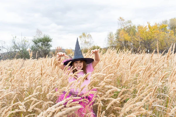 Flicka Häxdräkt Firar Halloween Ett Barn Spetsig Hatt Torrgräsfält — Stockfoto