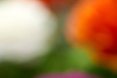 Arka plan resim yapma çiçek fotoğrafı                               