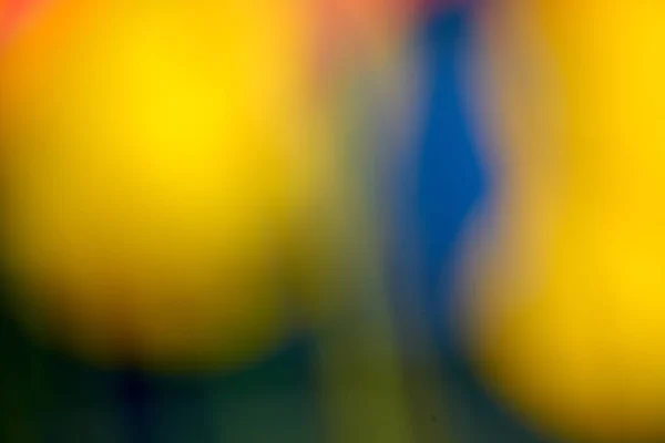 Bakgrunden Bild Gör Blomma Foto — Stockfoto