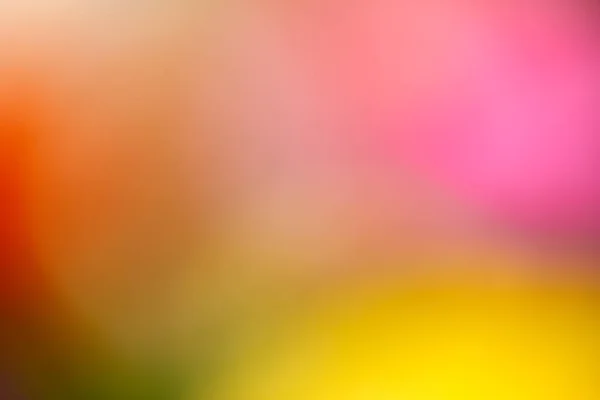 Background Image Make Flower Photo — Stock Photo, Image