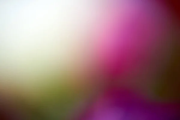 背景画像を花の写真 — ストック写真