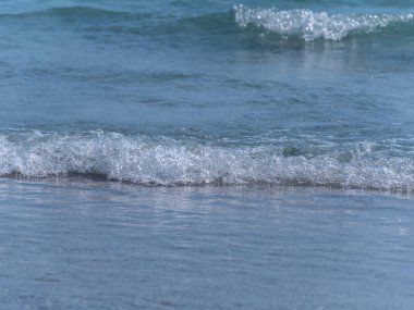 Yumuşak deniz su kenarı, yakın çekim, seçici odak çekim