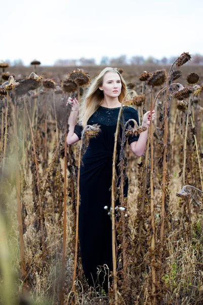 Mulher loira jovem em vestido preto, em um campo com girassóis desbotados. Outono tardio — Fotografia de Stock