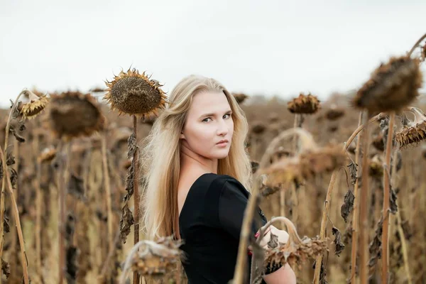 Молода блондинка в чорній сукні, в полі зі зів'ялими соняшниками. Пізня осінь — стокове фото
