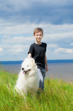 Samoyed bir büyük Dağı köpek ile yaz çocuk