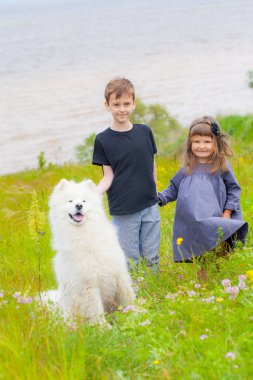 Erkek ve kız ile büyük Dağı köpek Samoyed, yaz aylarında