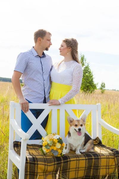 Um cão galês da raça Corgi senta-se em um banco branco com os anfitriões no fundo. Homem e mulher abraçando — Fotografia de Stock