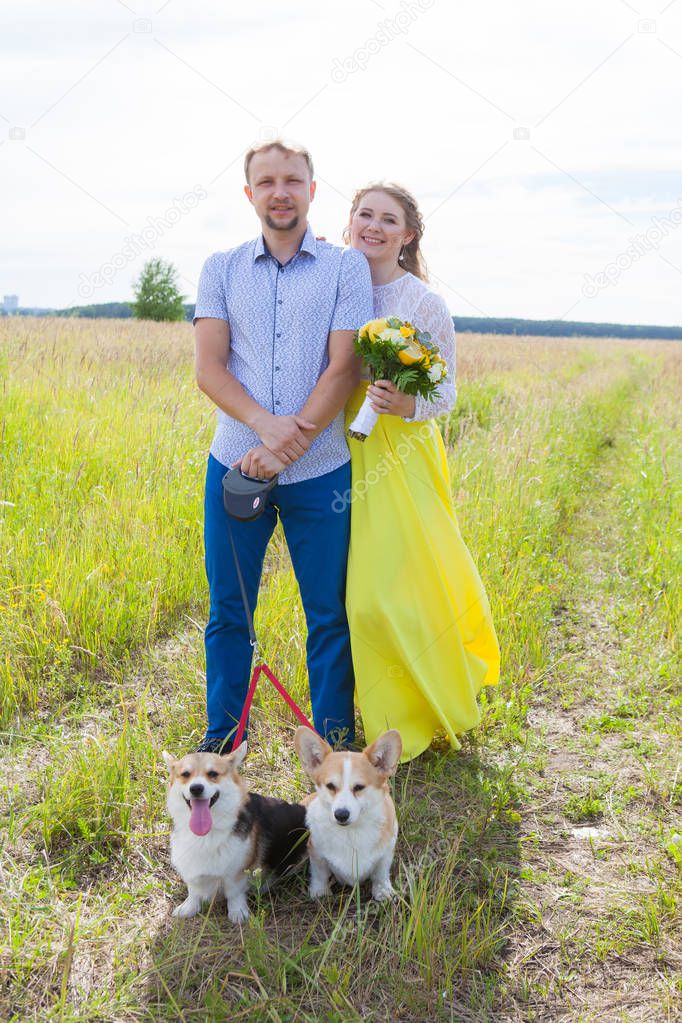 two dogs of the Welsh Corgi breed are sitting in a field with the owners in the background. Man and woman hugging