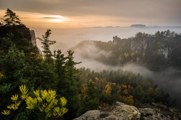 Bastei, gündoğumu. Kaya oluşumları Elbe Kumtaşı Dağları Sonbahar, Almanya, Sakson İsviçre Ulusal Parkı içinde için Bastei görüntüleyin.