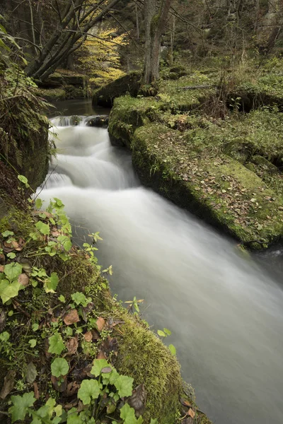 Creek Bohem Sviçre Sonbahar Creek Fotoğrafçı Cenneti Bohem Sviçre Çek — Stok fotoğraf