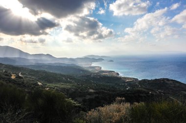 Girit'te zeytin alanları
