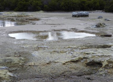 Çamur havuzu jeotermal aktif bölgedeki Lake Rotorua, Yeni Zelanda