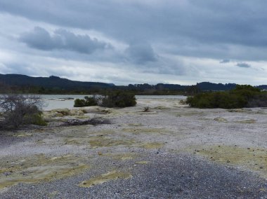 Lake Rotorua, Yeni Zelanda, kükürt noktada sarı toprak