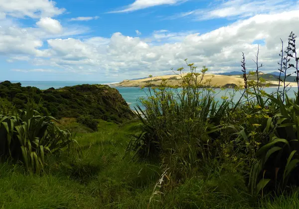 从新西兰奥马佩雷附近的霍基安加河的风景秀丽的前景中看到的塔斯曼海 — 图库照片