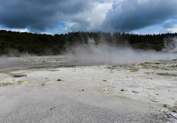 Vapor Saliendo Una Piscina Geotermal Hell Gate Park Nueva Zelanda — Foto de Stock