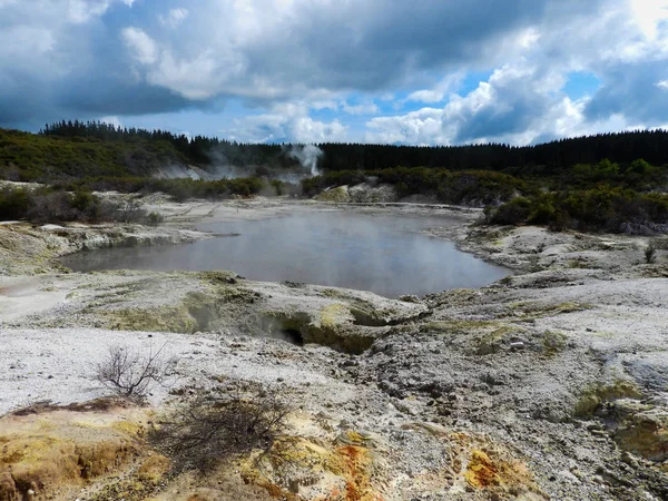 Geotermikus Medence Fumaroles Háttérben Hell Gate Parkn Zéland — Stock Fotó