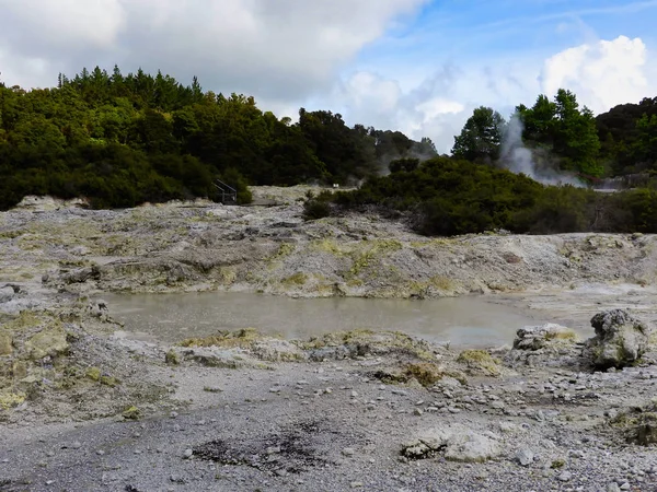 Táj Fumaroles Hell Gate Zéland — Stock Fotó