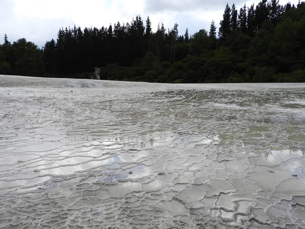 Terraza Sinter Llamada Primrose Terrace Con Árboles Fondo Wai Tapu — Foto de Stock