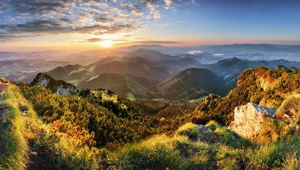 Akşam Gökyüzü Bulutlu Güneş Işığı Altında Dağ Orman Manzarası — Stok fotoğraf