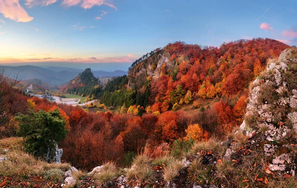 Dağ Sonbahar Ormanda — Stok fotoğraf