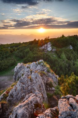 Dağ Vadisi gündoğumu sırasında. Doğal yaz manzara Slovakya 