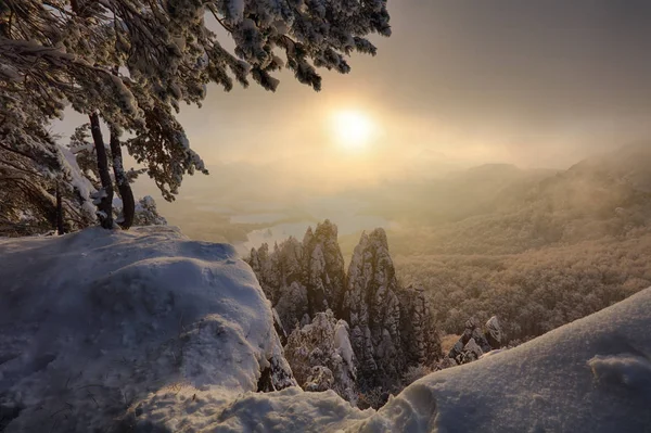 Vakkert Vinterpanoramalandskap Med Snødekte Trær – stockfoto