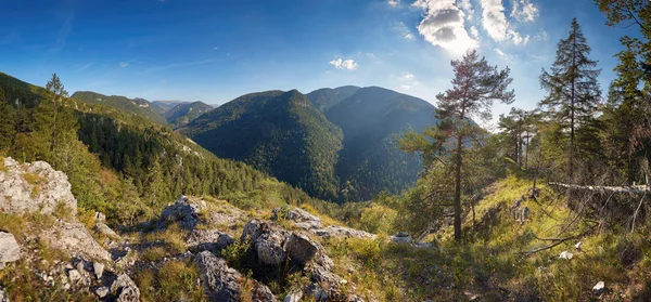 Green Forest Mountain Panorama — Stock Photo, Image